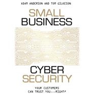 Small Business Cyber Security 9781599325903