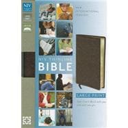 Holy Bible: New International Version, Brown Bonded Leather, Thinline 9780310435907