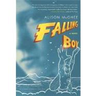 Falling Boy A Novel 9780312425920
