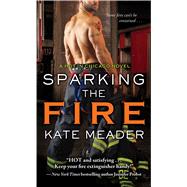 Sparking the Fire 9781476785936