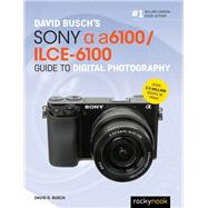 David Busch's Sony Alpha A6100/ILCE-6100 Guide to Digital Photography 9781681985947