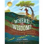 Where Is Wisdom? 9781535965965