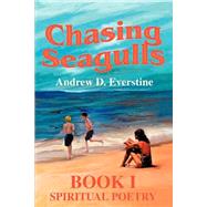 Chasing Seagulls