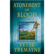 Atonement of Blood A Mystery of Ancient Ireland 9781250046000