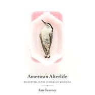 American Afterlife 9780820346007