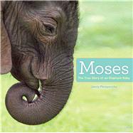 Moses The True Story of an Elephant Baby 9781442496033