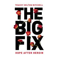 The Big Fix 9781580056038