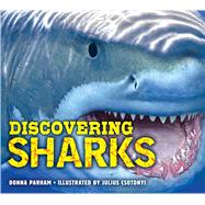 Discovering Sharks 9781604336047