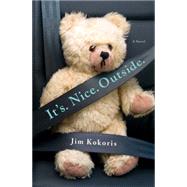 It's. Nice. Outside. A Novel 9781250036056