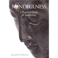 Mindfulness 9781622036059