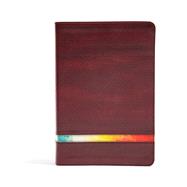 NIV Rainbow Study Bible, Maroon LeatherTouch 9781433646096