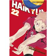 Haikyu!! 22 9781421596099