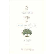 How Does Sanctification Work?