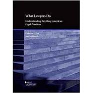 What Lawyers Do 9781642426113