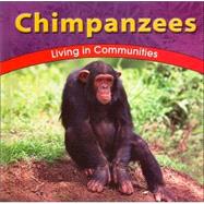 Chimpanzees
