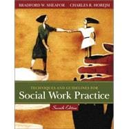 Techniques And Guidelines For Social Work Practice 9780205446179