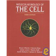 Molecular Biology of the Cell and the Hypercell