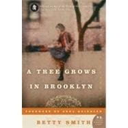 A Tree Grows in Brooklyn 9780060736262