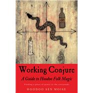 Working Conjure 9781578636273