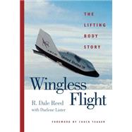 Wingless Flight