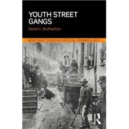 Youth Street Gangs: A critical appraisal 9780415856294