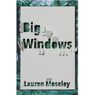 Big Windows