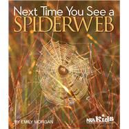 Next Time You See a Spiderweb 9781938946349