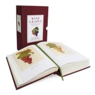 Wine Grapes : A Complete Guide to 1,368 Vine Varieties, Including Their Origins and Flavours 9780062206367