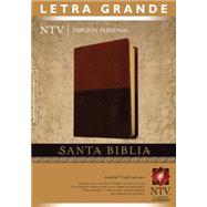 Santa Biblia 9781496406378