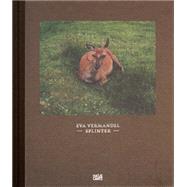 Eva Vermandel: Splinter 9783775736398
