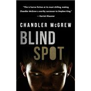 Blind Spot 9781941286401