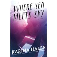 Where Sea Meets Sky A Novel 9781476796406