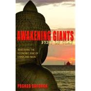 Awakening Giants, Feet of Clay 9780691156408