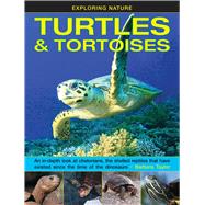 Turtles & Tortoises 9781861476432