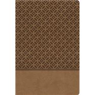 The King James Study Bible: King James Version, Café au Lait, Leathersoft 9780529106438