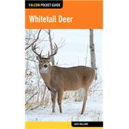 Whitetail Deer 9781493026456