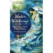 Water Witchcraft 9781578636464