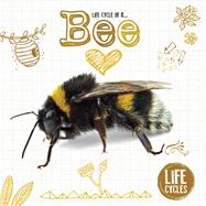 Life Cycle of a Bee 9781786376480