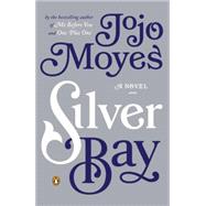 Silver Bay A Novel 9780143126485