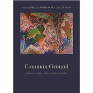 Albuquerque Museum Art Collection 9780890136546