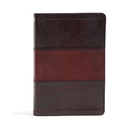 NIV Rainbow Study Bible, Saddle Brown LeatherTouch Indexed 9781433616563