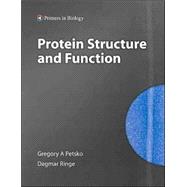 Protein Structure and Function