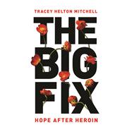 The Big Fix 9781580056632
