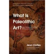 What Is Paleolithic Art? 9780226266633