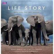 Life Story: Many Lives, One Epic Journey 9781849906647