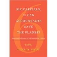 Six Capitals, or Can Accountants Save the Planet?: Rethinking Capitalism for the Twenty-first Century 9780393246674