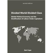 Divided World, Divided Class: Global Political Economy and the Stratification of Labour Under Capitalism 9781894946681