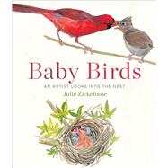 Baby Birds 9780544206700