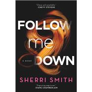 Follow Me Down 9780765386700
