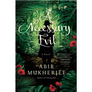 A Necessary Evil 9781681776712
